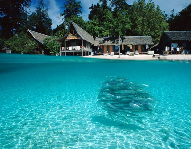 Tourist Spots: Scuba Diving at Sipadan Island Malaysia